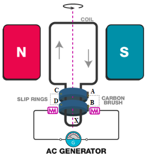 NCERT Solutions Class 10 Science Chapter 13 - 6