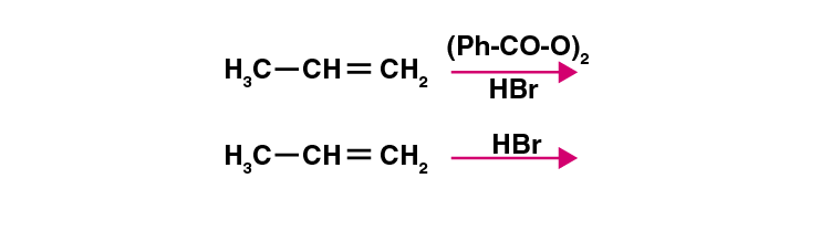 NCERT Exemplar Solutions of Class 11 Chemistry Chapter 13 Hydrocarbons-14