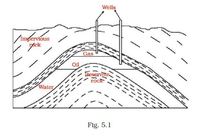 NCERT Exemplar Class 8 Science chapter 5 Solutions fig 1