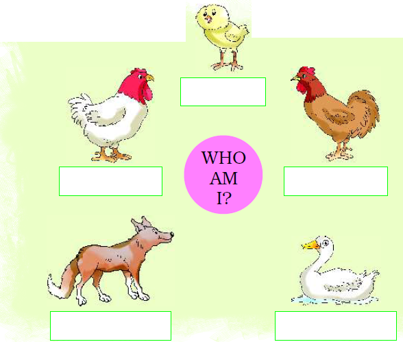 NCERT Solutions Class 2 English Unit 5 Funny Bunny - 3