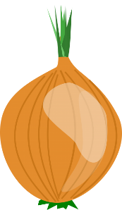 Image result for onion