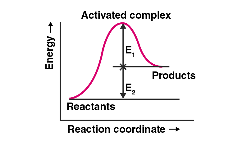 NCERT Exemplar Solutions of Class 12 Chemistry Chapter 4 Chemical Kinetics-1