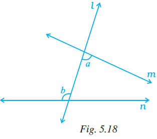 NCERT Exemplar Class 7 Maths Solutions Chapter 5 Image 11