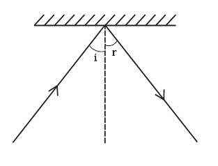 NCERT Exemplar Class 8 Science chapter 16 Solutions fig 13