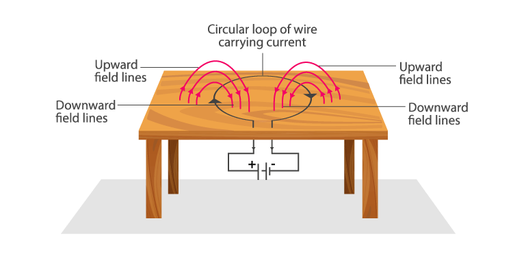 NCERT Solutions Class 10 Science Chapter 13 - 2