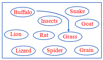 seo images