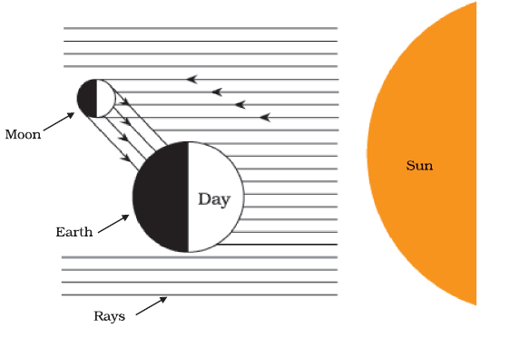 NCERT Exemplar Class 8 Science chapter 17 Solutions fig 6