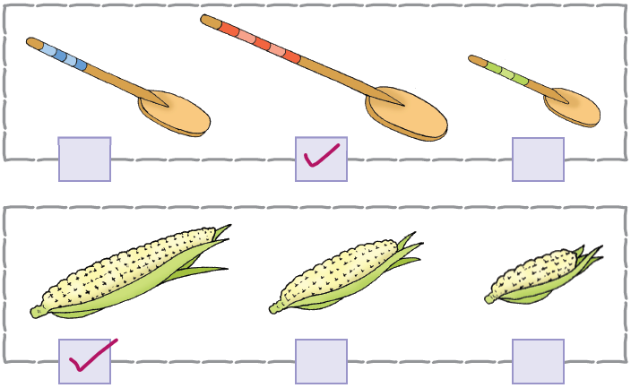 NCERT Solutions Class 1 Maths Chapter 7 Measurement - 6