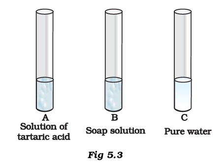 NCERT Exemplar Solutions Class 7 Science Chapter 5-sol-4