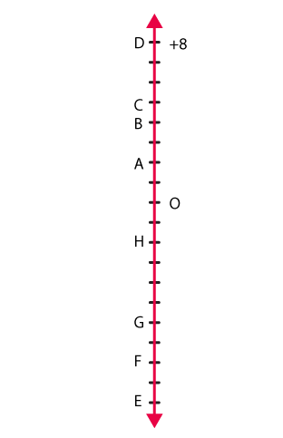 NCERT Solutions for Class 6 Maths Chapter 6 Exercise 6.1 - 6