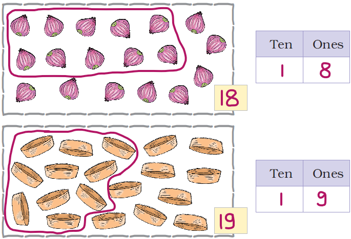NCERT Solutions Class 1 Maths Chapter 5 Numbers from Ten to Twenty - 8