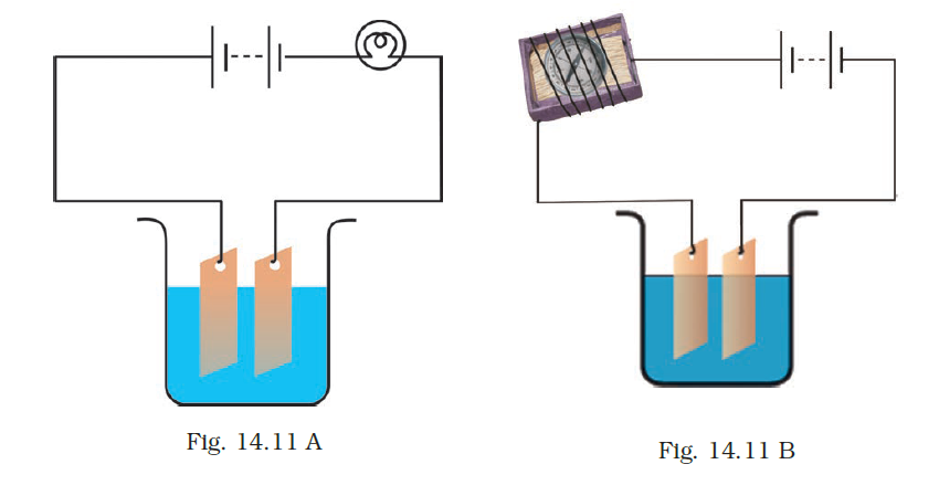 NCERT Exemplar Class 8 Science chapter 14 Solutions fig 14