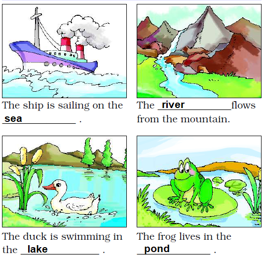 NCERT Solutions Class 2 English Unit 4 Poem Rain - 9