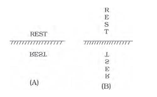 NCERT Exemplar Class 8 Science chapter 16 Solutions fig 15