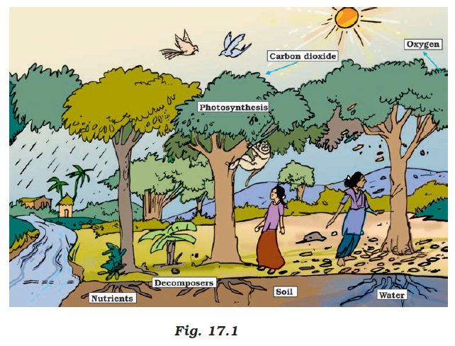NCERT Class 7 exemplar science chapter 17 solutions-1