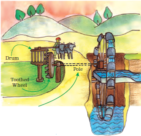 NCERT Answers for Class 5 EVS Chapter 10 - Image 3