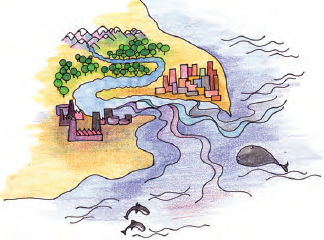 NCERT Solutions for Class 4 Chapter 13 Image 2