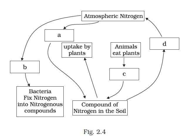 NCERT Exemplar Class 8 Science chapter 2 Solutions fig 4