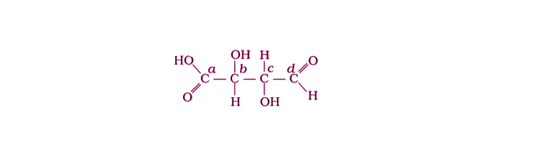 NCERT Exemplar Solutions of Class 12 Chemistry Chapter 10 Haloalkanes and Haloarenes-13