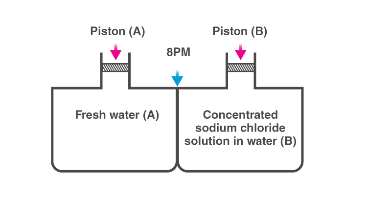 NCERT Exemplar Solutions of Class 12 Chemistry Chapter 2 Solutions-1