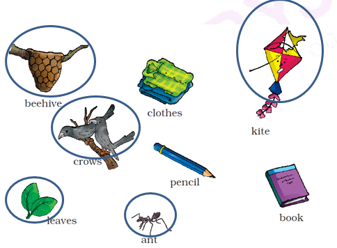 NCERT Solutions Class 1 English Unit 6 Our Tree - 2