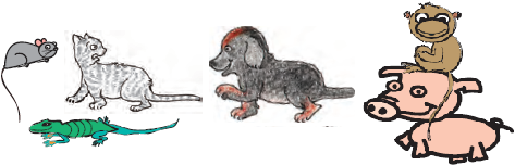 NCERT Solutions for Class 5 Chapter 10 Image 14