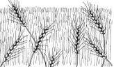 NCERT Solutions for Class 4 Chapter 14 Image 1