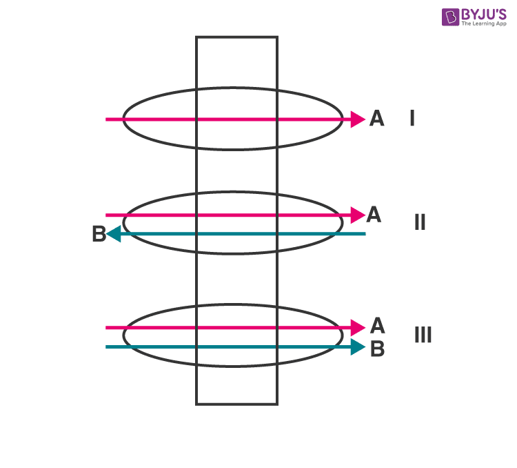 NCERT Exemplar Solutions of Class 11 Biology Chapter 11 Transport in plants-2