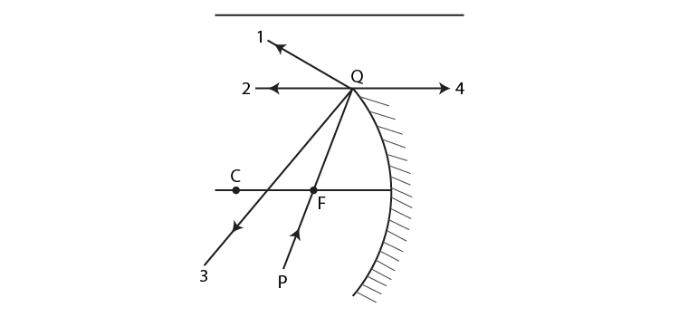Exemplar Solutions Class 12 Physics Chapter 9 - 1