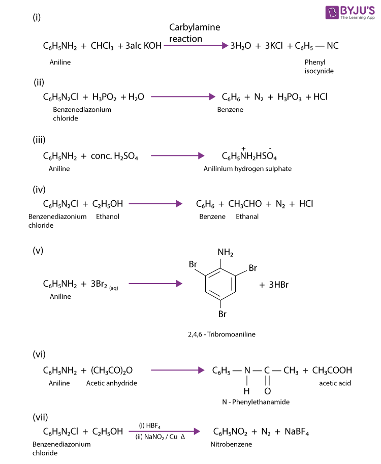 NCERT Solutions for Class 12 Chemistry Chapter 13 Amines Q 13.11-2