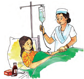 NCERT Answers for Class 5 EVS Chapter 3 – image 5