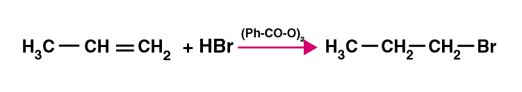 NCERT Exemplar Solutions of Class 11 Chemistry Chapter 13 Hydrocarbons-15