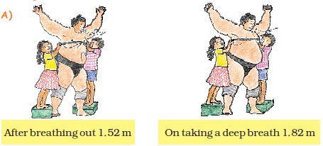 NCERT Solutions for Class 5 Chapter 10 Image 37