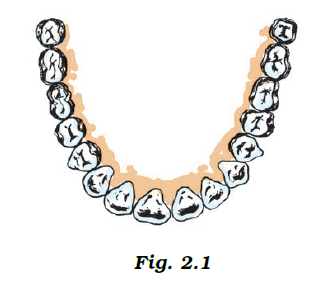 NCERT Exemplar Solutions Class 7 Science Chapter 2-sol-2
