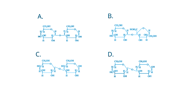 NCERT Exemplar Solutions of Class 12 Chemistry Chapter 14 Biomolecules-2