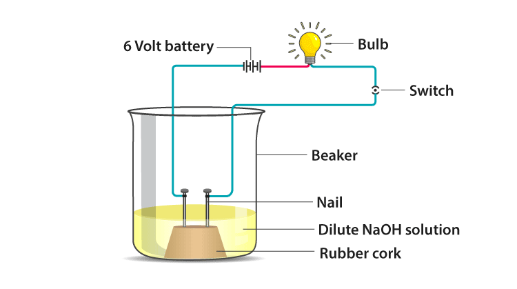 demonstrate electrical conductivity through an electrolyte