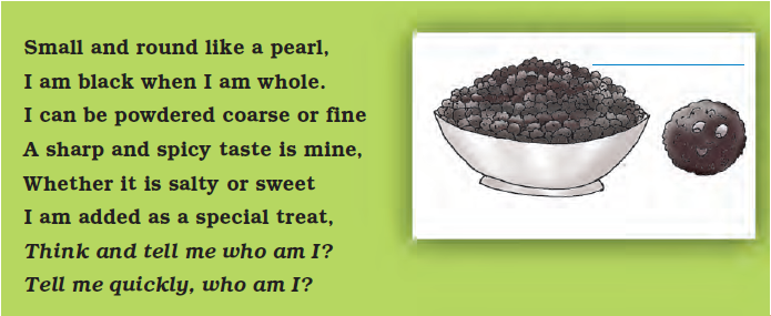 NCERT Solutions Class 4 EVS Chapter 25 - 3