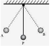 NCERT Solutions for Class 9 Science - Chapter 11 Image 4