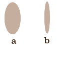 seo images