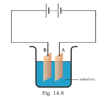NCERT Exemplar Class 8 Science chapter 14 Solutions fig 11
