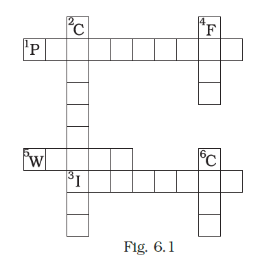 NCERT Exemplar Class 8 Science chapter 6 Solutions fig 2