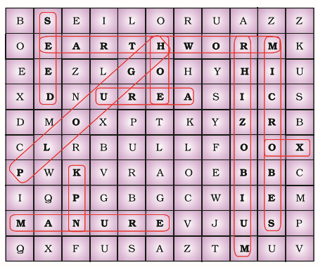 NCERT Exemplar Class 8 Science chapter 1 Solutions fig 2