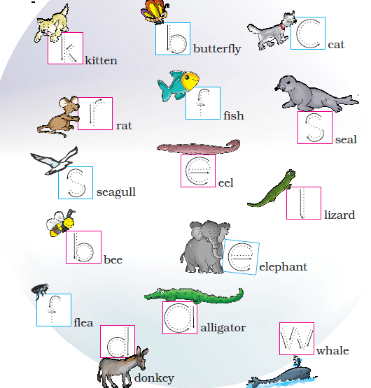 NCERT Solutions Class 1 English Unit 3 Poem One Little Kitten - 2