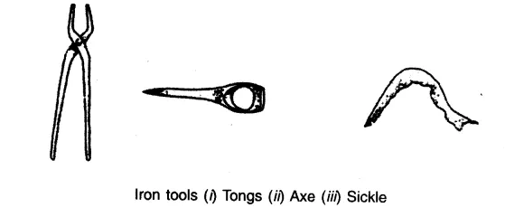 NCERT Solutions For Class 6 Social Science History Chapter 8