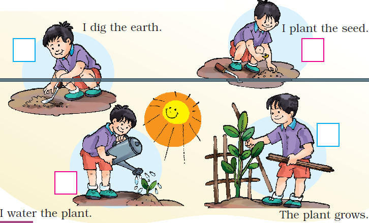NCERT Solutions Class 1 English Unit 6 Our Tree - 3