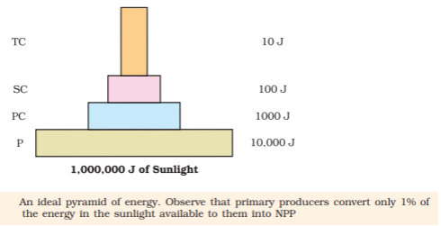 NCERT solutions class 12 Biology chapter 14 - 4