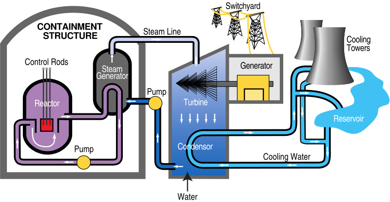 ncert solutions class 10 science chapter 14 sources of energy fig 1