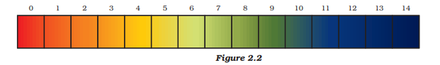 pH paper