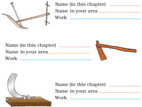 NCERT Solutions for Class 4 Chapter 14 Image 3