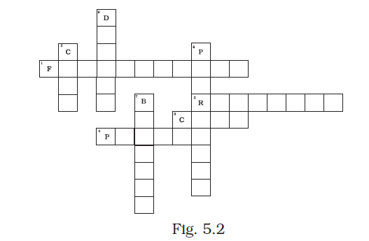 NCERT Exemplar Class 8 Science chapter 5 Solutions fig 2